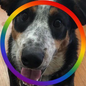 Meet your Posher, Claire